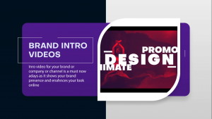Business-Service-Promo-Video-AfterEffects-Template2- Studious31