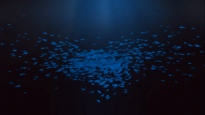 Underwater Fish Logo Intro After Effects Template - Studious31