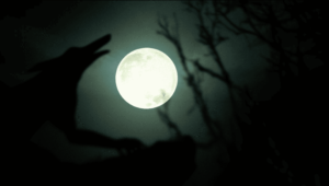 Happy Halloween Video After Effects Template 1 - Studious31
