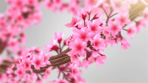 Flower & Heart Valentine Day Greeting After Effects Template 2 - Studious31