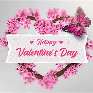 Flower & Heart Valentine Day Greeting After Effects Template Website Banner - Studious31